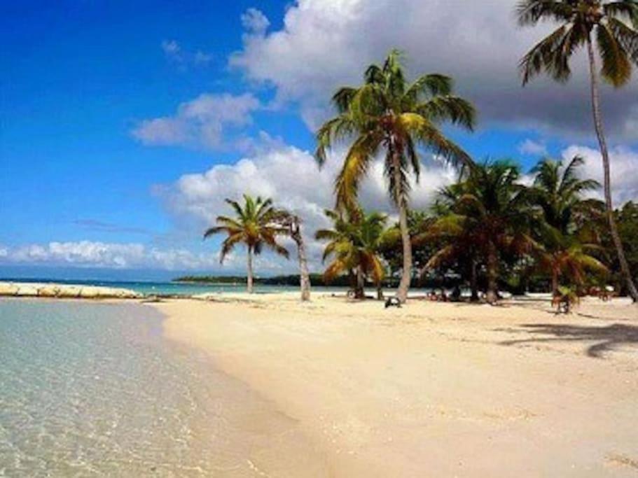 La Playa - L'Appartement Cozy - 2 A 5 Personnes Sainte-Anne  Exteriér fotografie